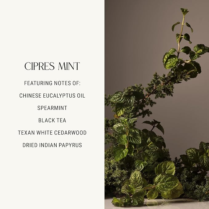 Luxury Scented Candle, Cipres Mint Scent, 60-Hour Burn Time, Soy Wax Blend, Lavender, and Vanilla Aroma, alternate product