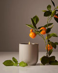 Luxury Scented Candle, Mandarin Basile Scent, 60-Hour Burn Time, Soy Wax Blend, Organic Cotton Wick, product image