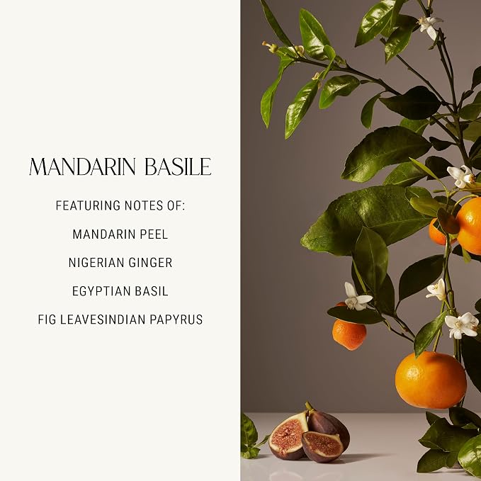 Luxury Scented Candle, Mandarin Basile Scent, 60-Hour Burn Time, Soy Wax Blend, Organic Cotton Wick, alternate product view 5