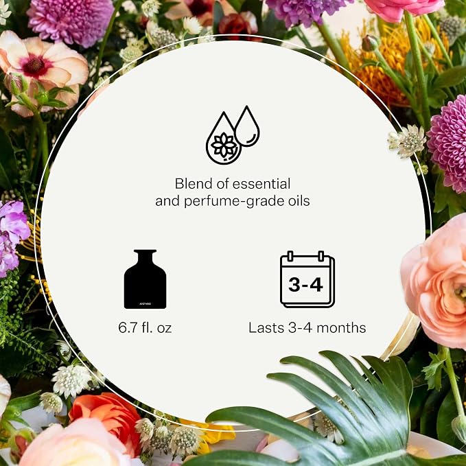 Luxury Scented Oil Reed Diffuser Liquid Refill (Apricot Red Currant) - Premium Home Fragrance Diffuser Refill Set with
