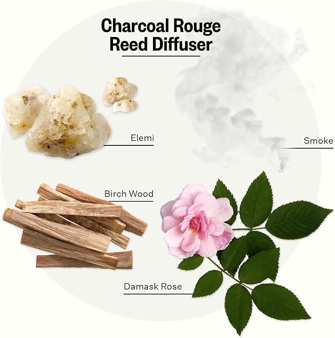 Luxury Scented Reed Diffuser for Home, Charcoal Rouge - 6.7 Fl Oz Essential Oil Aromatherapy, alternate product view 3