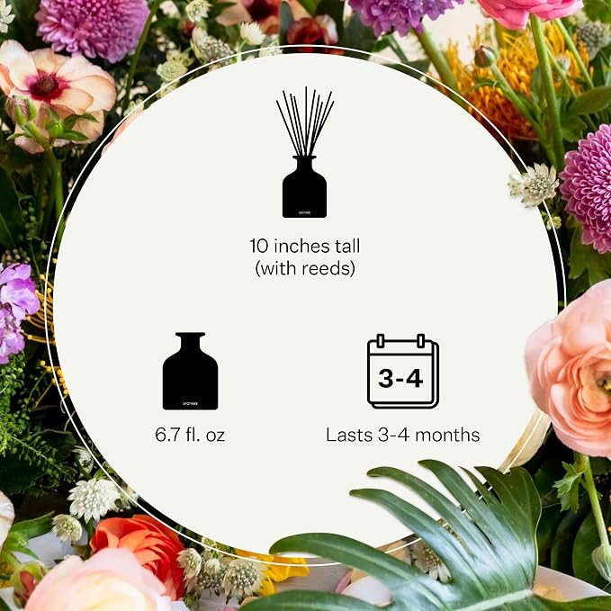 Luxury Scented Reed Diffuser for Home, Charcoal Rouge - 6.7 Fl Oz Essential Oil Aromatherapy, alternate product view 4
