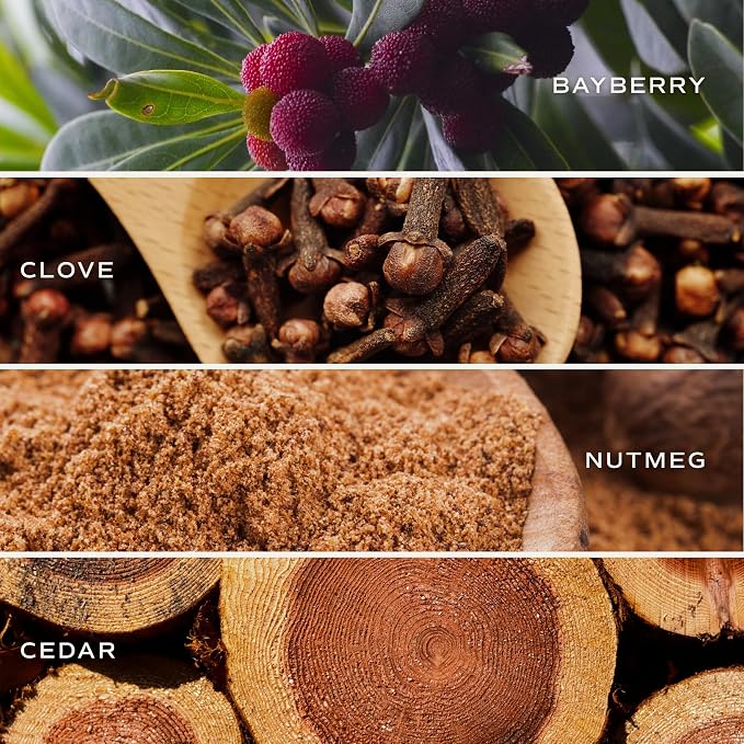 Merry and Bright Soy Christmas Candle - Bayberry, Clove, Nutmeg, alternate product view 4