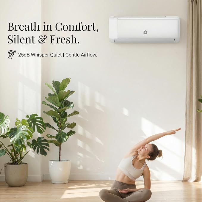 Mini Split Air Conditioner 22 SEER2 Efficiency Smart Inverter Tech,Alexa-Compatible WiFi Control,Professional Installation
