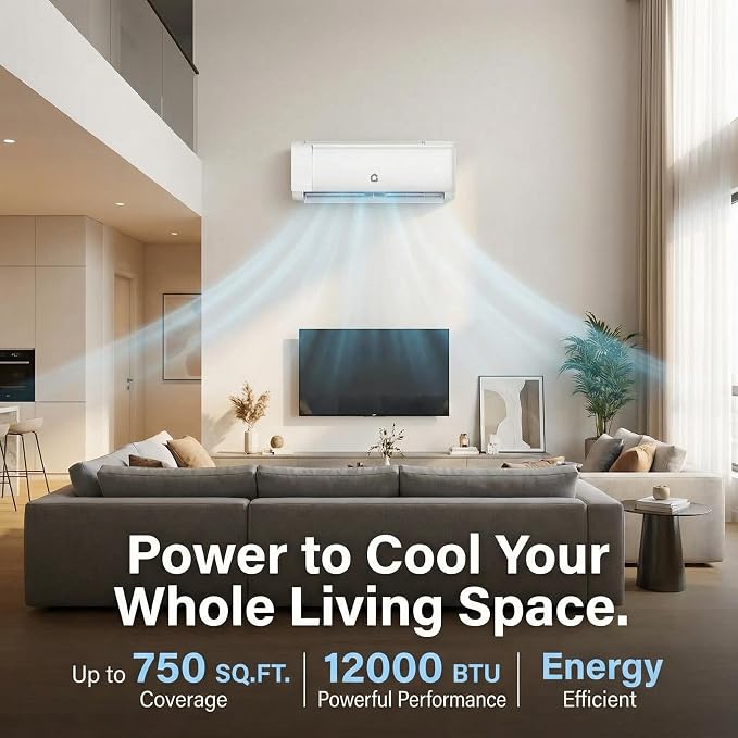 Mini Split Air Conditioner 22 SEER2 Efficiency Smart Inverter Tech,Alexa-Compatible WiFi Control,Professional Installation