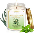 Mint & Eucalyptus Candle, 9 oz Scented Candles for Home Soy Candle Wax, Aromatherapy Candles for Women Men, product image
