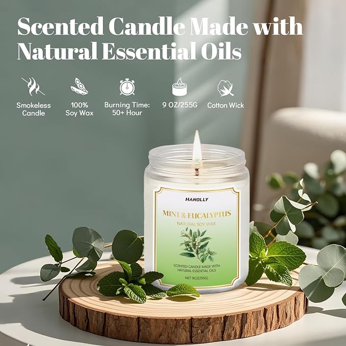 Mint & Eucalyptus Candle, 9 oz Scented Candles for Home Soy Candle Wax, Aromatherapy Candles for Women Men, alternate product