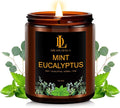 Mint Eucalyptus Candles, Mint Eucalyptus Scented Candle, Mother's Day Candle Gifts for Women, Soy Candles for Home Scented