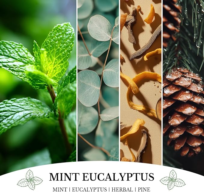 Mint Eucalyptus Candles, Mint Eucalyptus Scented Candle, Mother's Day Candle Gifts for Women, Soy Candles for Home Scented
