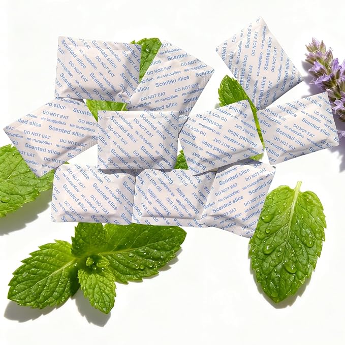 Mint Scented Sachets – Long-Lasting Odor Remover and Freshener for Shoes, Closets, Drawers, and Storage Spaces – Pack of 10