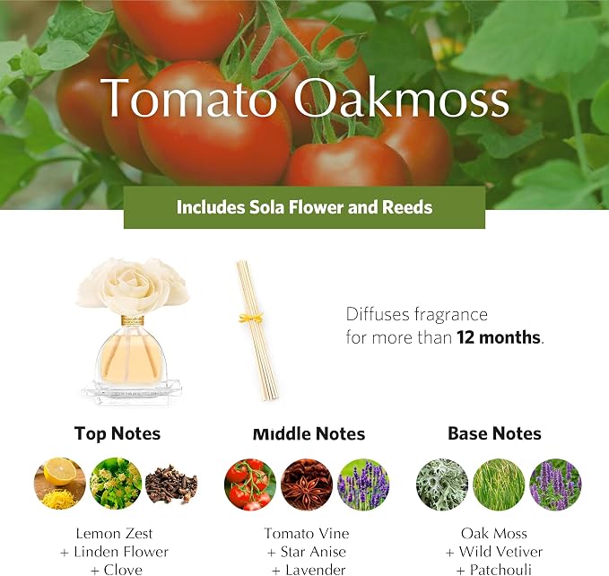 Monique Lhuillier Tomato Oakmoss AirEssence Fragrance Reed Diffuser, 7.4 Oz, alternate product view 3