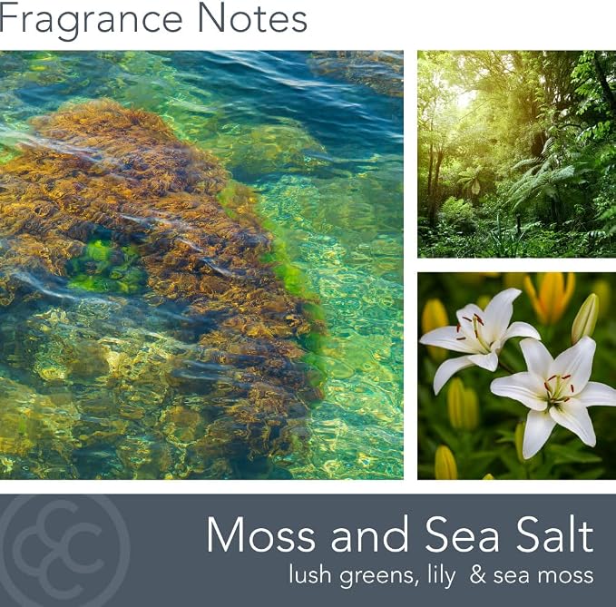 Moss & Sea Salt Scented Candle, 16 oz comfort Relaxing Aromatherapy Candle, 2 Wick White Jar Soy Blend Wax, Candles for Home