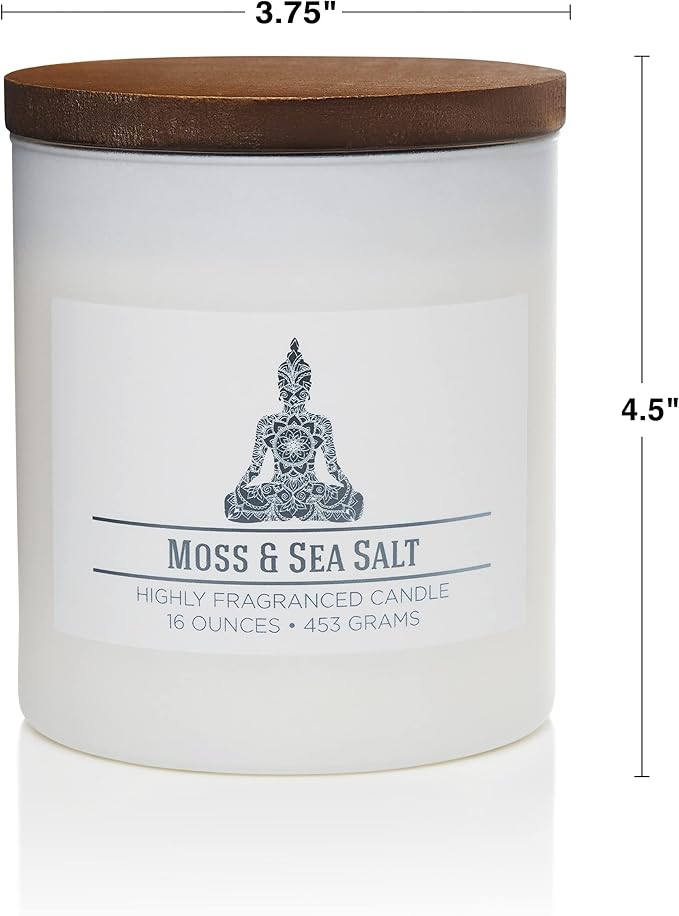 Moss & Sea Salt Scented Candle, 16 oz comfort Relaxing Aromatherapy Candle, 2 Wick White Jar Soy Blend Wax, Candles for Home