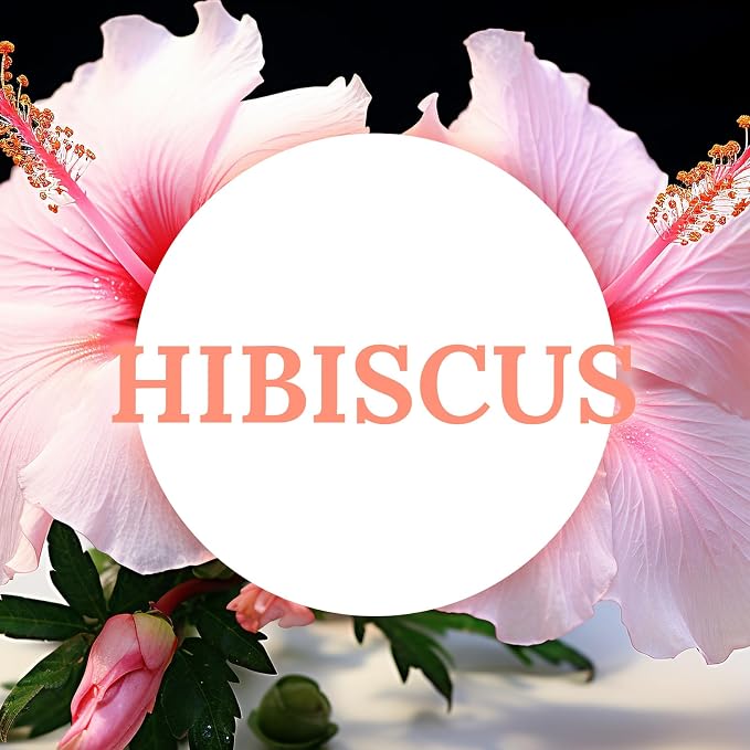 Natural Hibiscus Orchid Scented Soy Wax Tealight Candles Bulk, Aromatherapy Luxury Tea Candle Set of 12-4 Hour, alternate