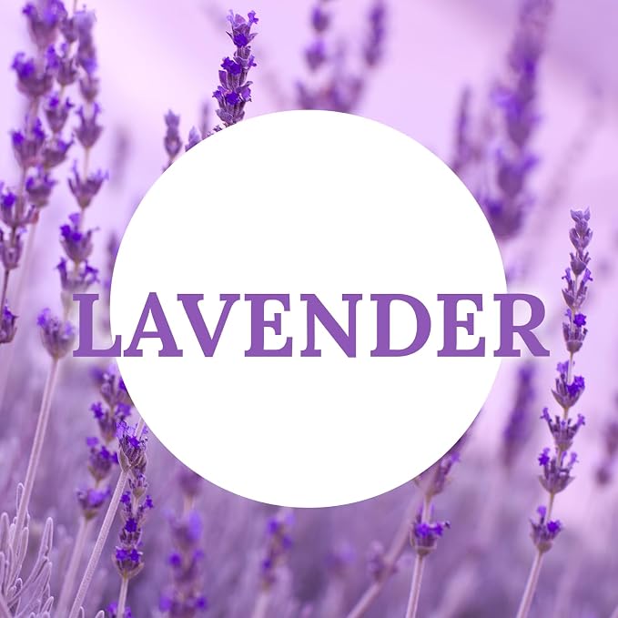Natural Lavender Scented Soy Wax Tealight Candles Bulk, Aromatherapy Luxury Tea Candle Set of 24-4 Hour Burning Great Gift