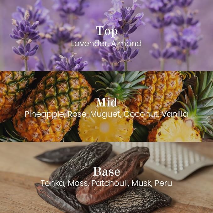 Natural Soy Large Candle| Lavender Vanilla | 16.6 oz, 95H Burn | Mini Spring Scented Candles for Relaxation, alternate