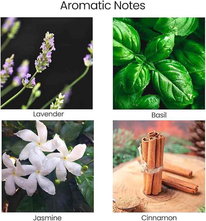 Calming Organic Soy Scented Candles with Essential Oil | Natural Candles made from natural materials