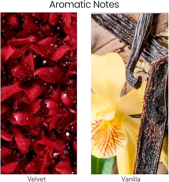 Embrace Scented Candles for Home | Velvet & Vanilla | Natural made from natural materials Soy Candles
