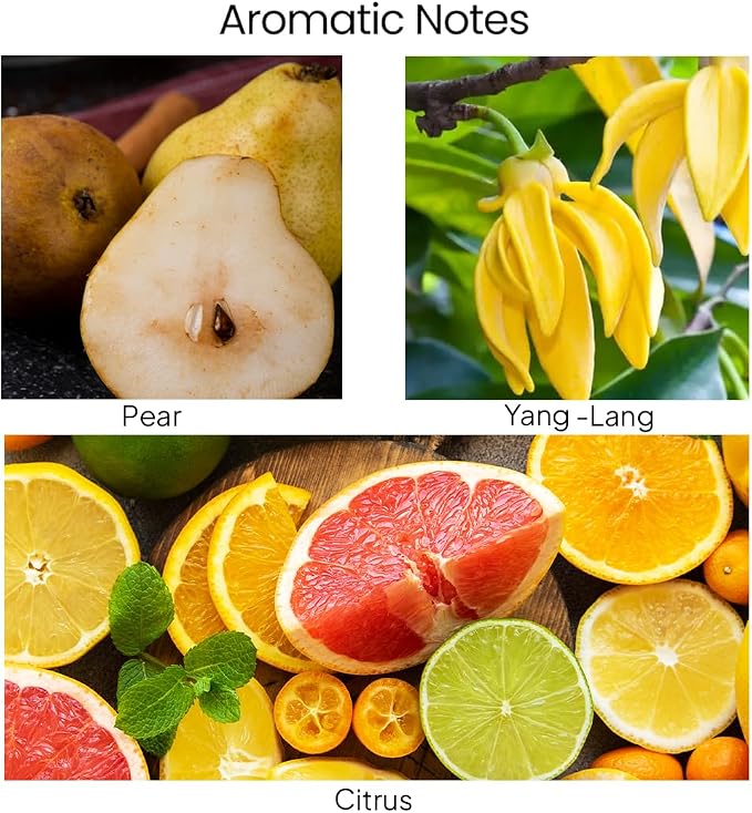 Sunrise Scented Candles for Home | Pear,Citrus,YlangYlang | Natural made from natural materials Soy