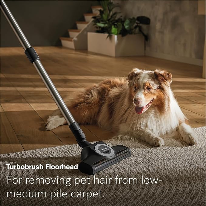 NEW Guard M1 Cat & Dog Bagged Canister Vacuum for Pet Owners with Odor-Reducing Active AirClean Filter, TurboTeQ, alternate
