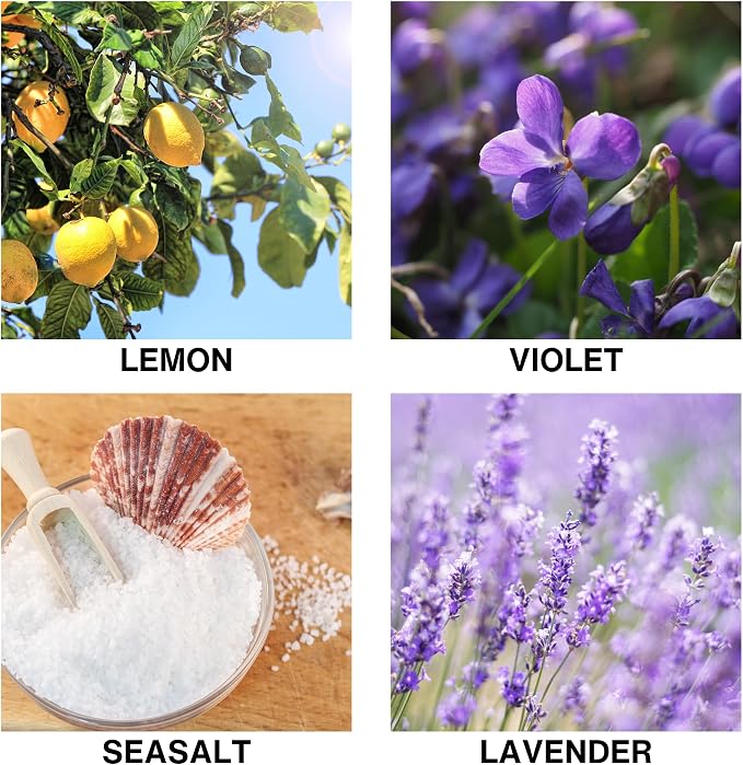 Ocean Breeze Reed Diffusers for Home – Aroma Diffuser with Violet, Lemon, Sea Salt & Lavender – Long Lasting Scented Home