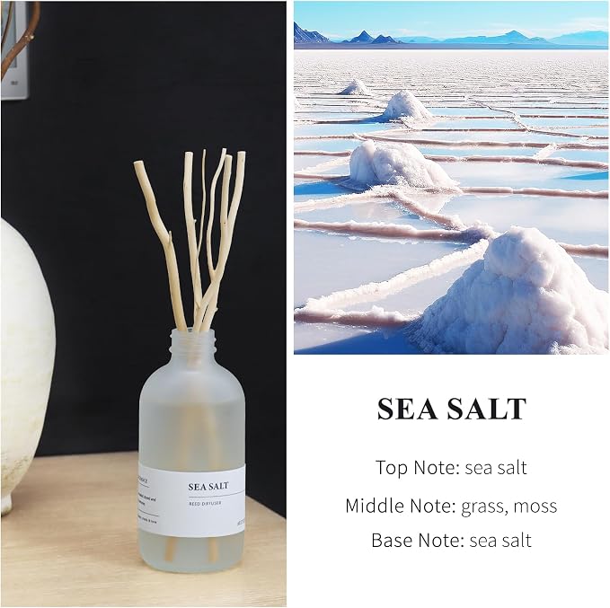 Ocean Mist & Sea Salt Reed Diffuser, 7.4oz(220ml) Sea Salt Musk & Seaweed Essential Oil Refill, alternate product view 3