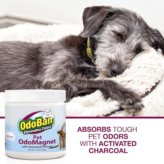 OdoMagnet Pet Odor Eliminator with Activated Charcoal, 14 Ounce 2-Pack, Fresh Air Scent in White., alternate view 4