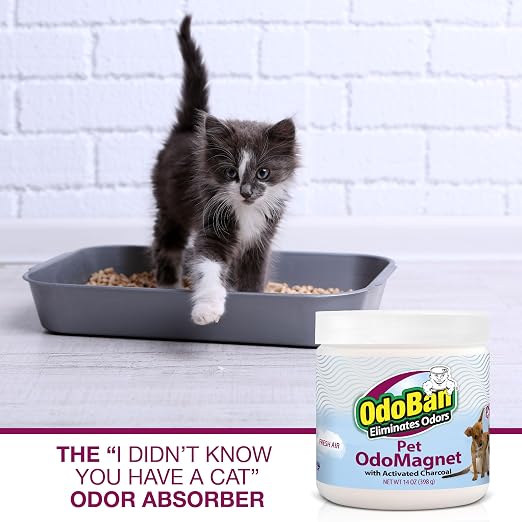 OdoMagnet Pet Odor Eliminator with Activated Charcoal, 14 Ounce 2-Pack, Fresh Air Scent in White., alternate view 5