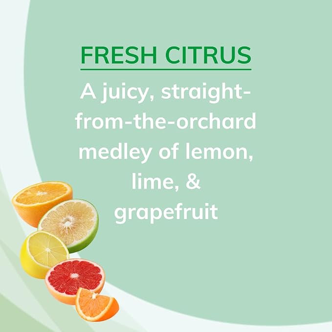 Odor Absorbing Solid Air Freshener, Fresh Citrus, 20-Ounce, Pack of 2 in Fresh Citrus., alternate view 3