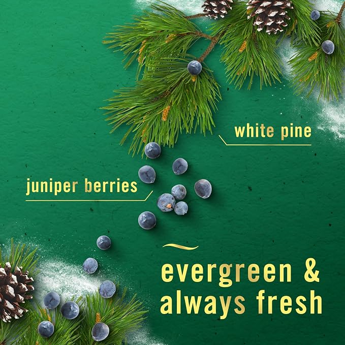 Odor-Fighting Fade Defy PLUG Air Freshener White Pine & Juniper Berry, 0.87oz Oil Refill, 2 Count 2 Count 0.87oz White