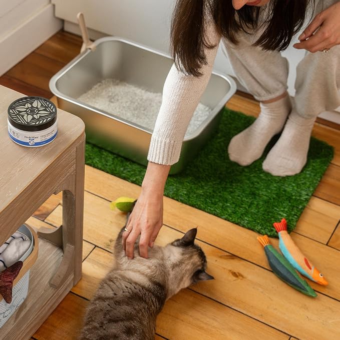 Odor Removing Litter Box Gel, 7 oz. |Pack of 2 | Safer Pet Odor Eliminator for Home and Litter Box Area in 7 oz, alternate