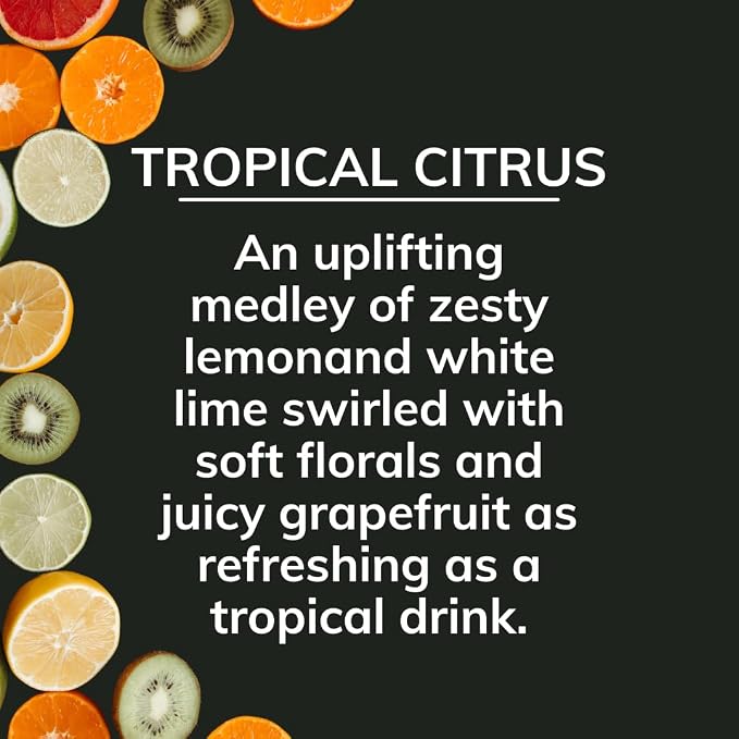 On The Go Odor Absorbing Solid Air Freshener, Tropical Citrus, 8-Ounce, alternate product view 4