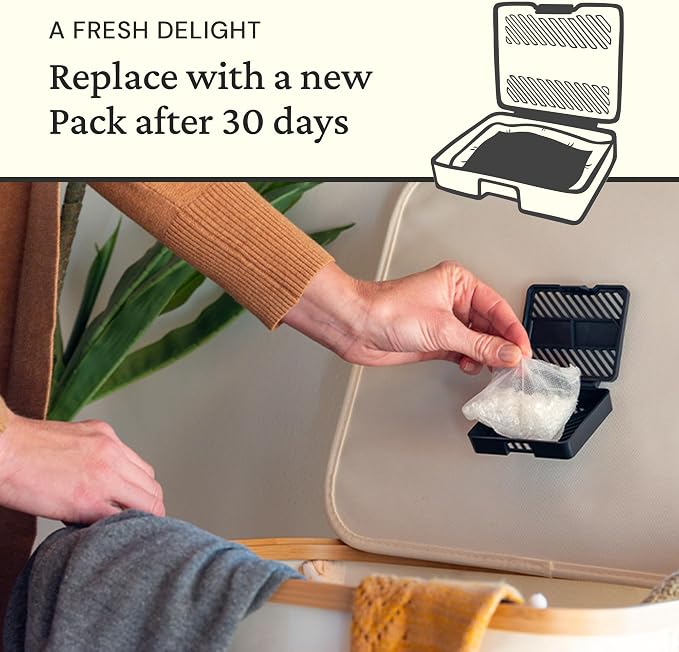 Original Odor Eliminating & Deodorizing Packs - Bag of 6 & Fresh Pod Case - Safer Odor Relief for Small Spaces, alternate