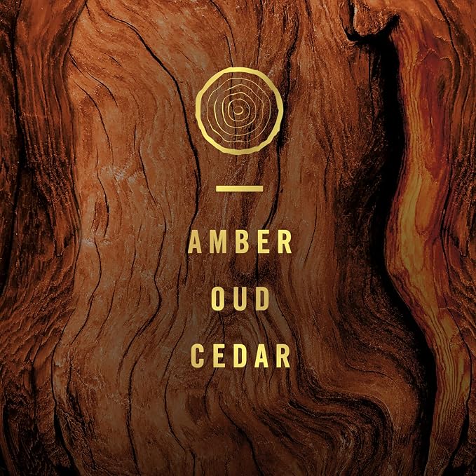 Origins Fade Defy PLUG Air Freshener & Odor Fighter, Wood, (2).87 fl. oz. Oil Refills Cranberry 6.26 inches Wood, alternate