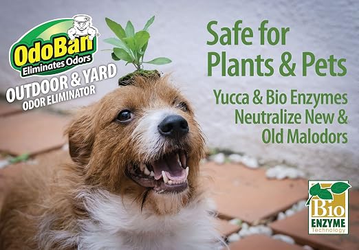 Outdoor and Yard Odor Eliminator, Plant-Friendly Formula, Made in the USA, Clean Fresh Scent, 32 Fluid Ounce, alternate view