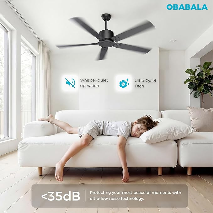 Outdoor Ceiling Fan No Light, 52'' Black Ceiling Fan with Remote, Noiseless, Reversible, 5 Blades for Patio/Living