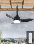Outdoor Plug In Ceiling Fan with Light and Hook, 46" IP65 Waterproof Wet Rated Patio Ceiling Fans, Black, product image