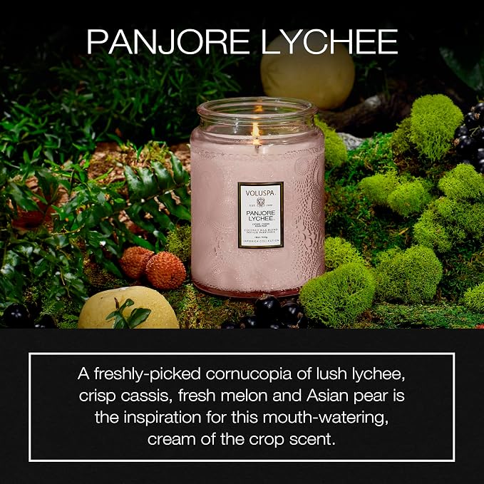 Panjore, Large Candle Jar, 18 oz, 100 Hour Burn Time, Coconut Wax for Clean Burning, Handcrafted in the USA, alternate