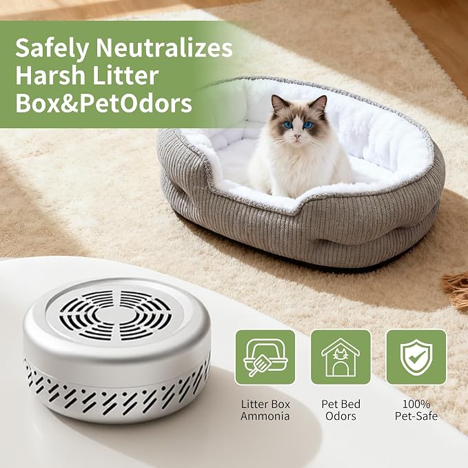 Pet & Car Odor Eliminator – Lasts 10 Years Nano-Catalyst Air Purifier Removes VOCs, alternate product view 4