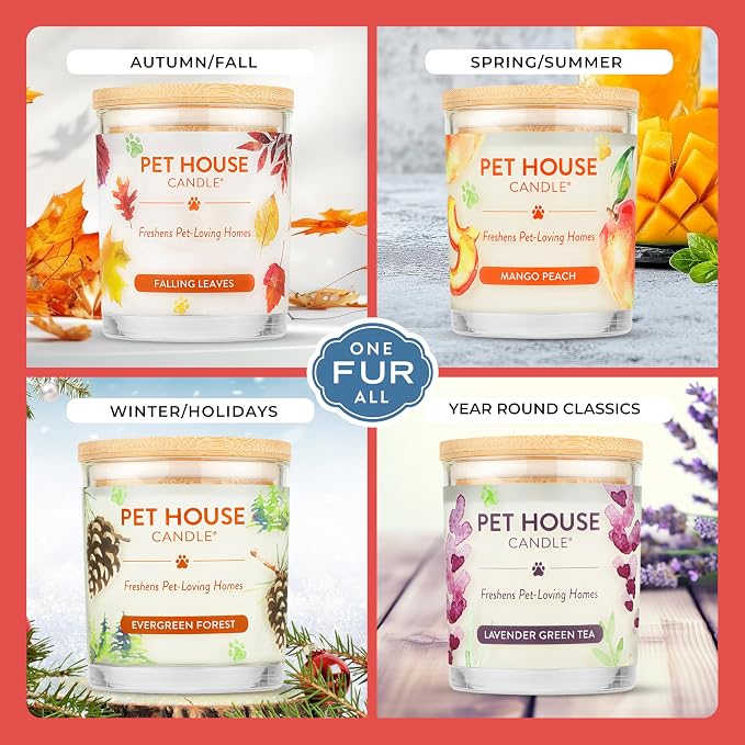 Pet House Candle 2 Pack - Plant-Based/Soy- Clean Burning Scented, Long Lasting Pet Odor Candle for Home - Hollyberry