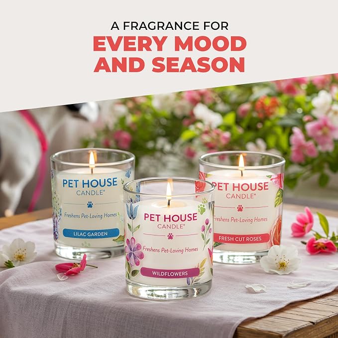 Pet House Candle 2 Pack - Plant-Based/Soy- Clean Burning Scented, Long Lasting Pet Odor Candle for Home - Hollyberry