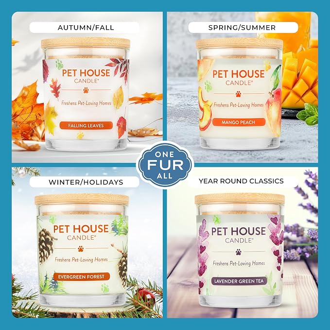 Pet House Candle Plant-Based/Soy - Clean Burning Scented,Long Lasting Pet Odor Candle for Home - Sunwashed Cotton, alternate