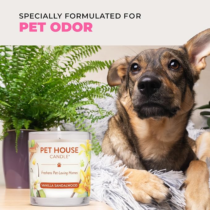Pet House Candles, Clean Burning, Long Lasting Pet Odor Candles, Plant-Based, 60 Hour Burn Time - Tropical Fruit, 9 oz, 2