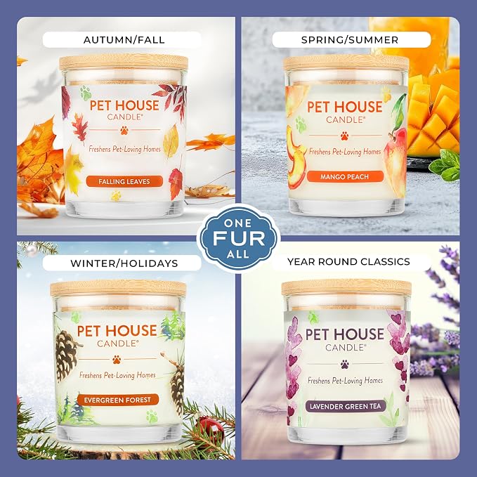 Pet House Candles Plant Based Cookie Scented Candle Clean Burning, Long Lasting for Home, Snowfall, alternate product view 4