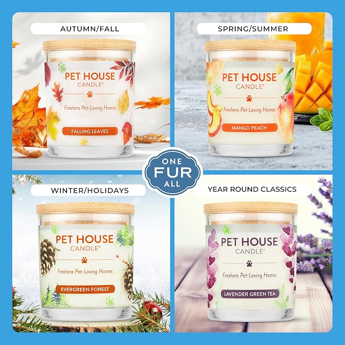 Pet House Candles, Plant-Based, Long Lasting, Clean Burning Scented Pet Odor Candles - Lilac Garden in Lilac, alternate view