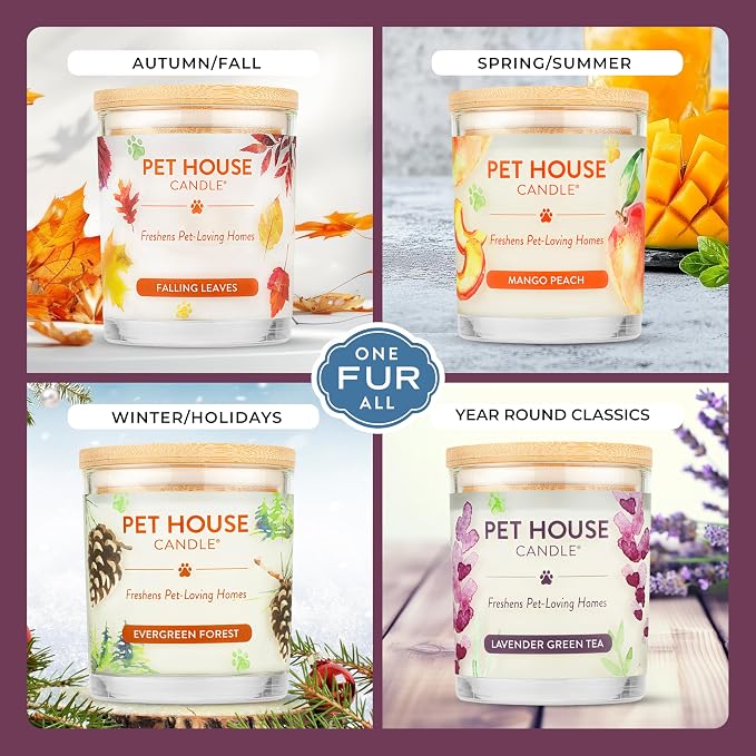Pet House Candles, Scented Pet Friendly Candles, Clean Burning Plant-Based with a Natural Fiber Wick - BlackBerry Tea, 9 oz