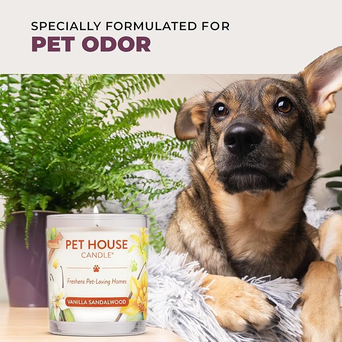 Pet House Candles, Scented Pet Friendly Candles, Clean Burning Plant-Based with a Natural Fiber Wick - BlackBerry Tea, 9 oz