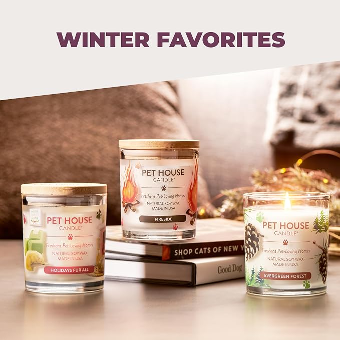 Pet House Candles, Scented Pet Friendly Candles, Clean Burning Plant-Based with a Natural Fiber Wick - BlackBerry Tea, 9 oz