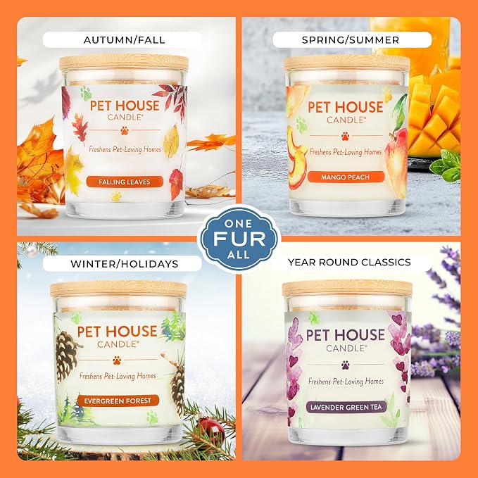 Pet House Fall Candles, Long Lasting, Clean Burning, Soy Wax Scented Candles for Pet Odor, Orange Spice, 2 Pack, alternate