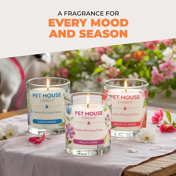 Pet House Fall Candles, Long Lasting, Clean Burning, Soy Wax Scented Candles for Pet Odor, Orange Spice, 2 Pack, alternate